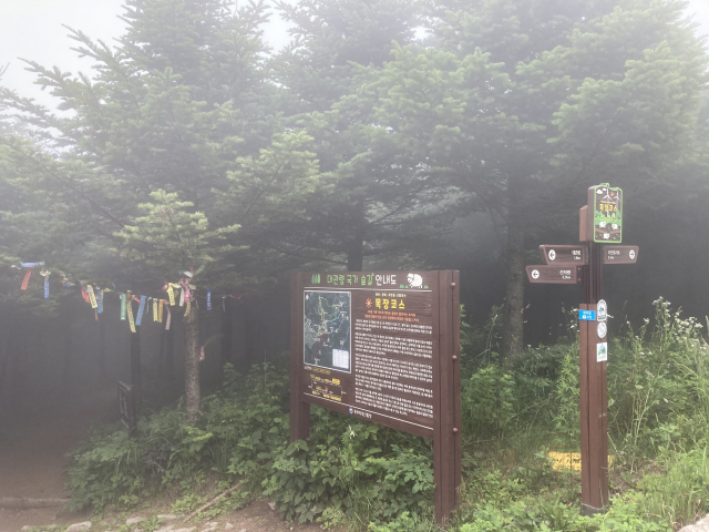 어디로 가더라도 대관령으로 가지만 잠시 헷갈렸다.