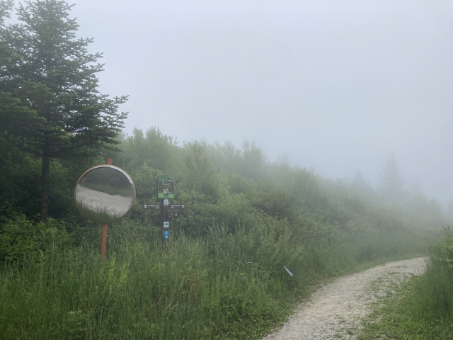 인기척 없는 길을 따라 한참을 걸어 내려간다.