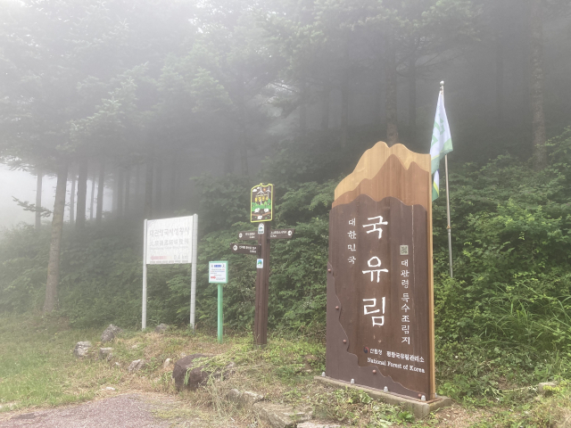 길을 제대로 찾아 안도했다.