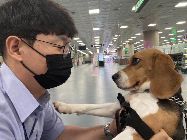 검역탐지견 여름이와 눈을 맞추고 있는 박영웅 탐지요원.