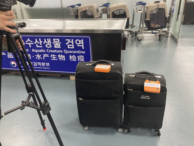 탐지견이 적발한 물건에 자물쇠를 채워 검색 대기 중이다.