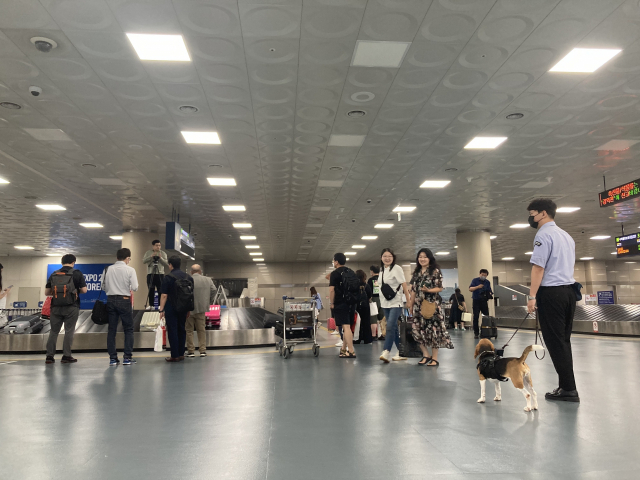 여름이가 김해공항 국제선 입국장에서 검역을 위해 박영웅 탐지요원과 대기하고 있다.