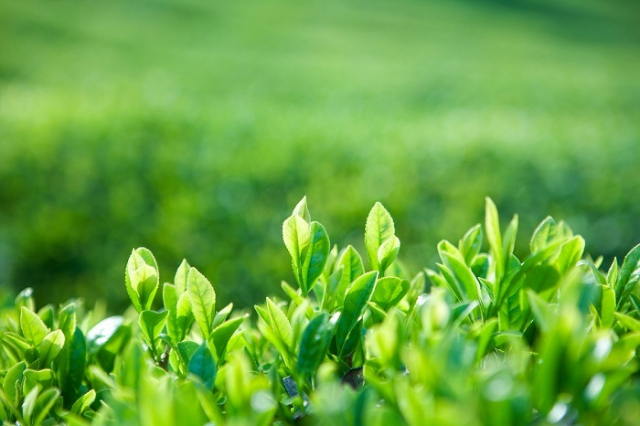 정부가 농촌의 난개발을 막고 농촌을 삶터·일터·쉼터로서의 기능 회복을 위해 농촌공간 계획 수립을 추진하고 있는 가운데 한국농어촌공사 등 4곳이 지원기관으로 뽑혔다. 이미지투데이