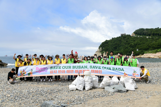 한국해양대학교, 감지덕지 해양환경 정화 프로그램 진행