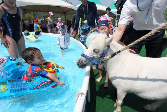 렛츠런파크 부산경남이 운영 중인 말테마 워터파크. 대형 에어슬라이드, 에어바운스, 에어풀 등 다양한 물놀이 시설을 갖춘 데다 입장료도 저렴해 인기가 높다. 렛츠런파크 부산경남 제공