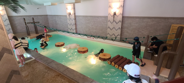 나무와 악어 등의 모형을 징검다리처럼 밟고 물을 건너는 크로스 액티비티.