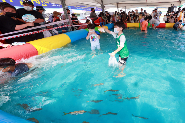 개막식 등 일부 행사가 취소되지만 무료시식회와 맨손전어잡기 등 인기 부대행사는 그대로 진행될 예정이다. 사천시 제공