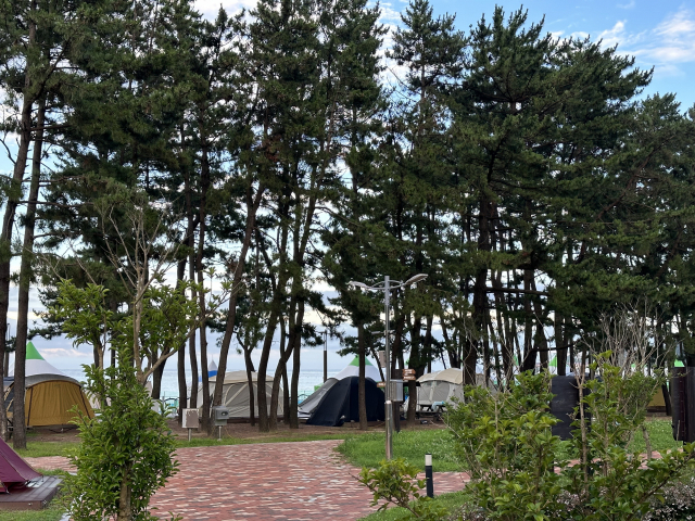 울주해양레포츠센터캠핑장에선 진하해수욕장 해변이 코앞이다.