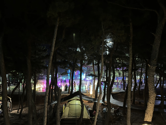 영덕고래불국민야영장의 야간 바닥분수. 추억의 노래가 어우러져 잘 밤이지만 물줄기를 그냥 지나칠 수 없다.