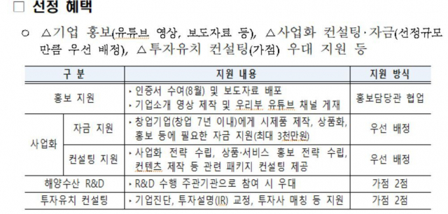 ‘해양수산 예비오션 스타 기업’ 선정 혜택. 해수부 제공