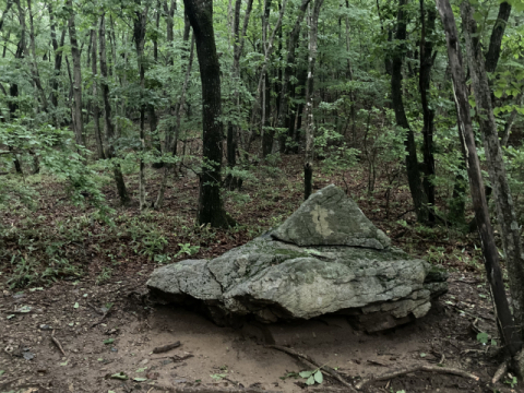 UFO를 닮은 바위.