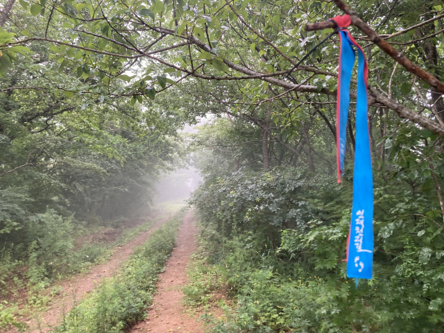 인제천리길 조침령 구간.