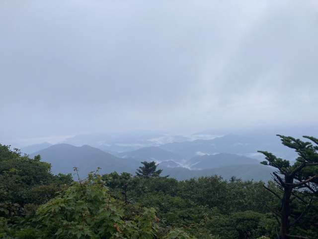 산꾼들이 '곰탕 날씨'라 부르는 운무 가득한 산하.