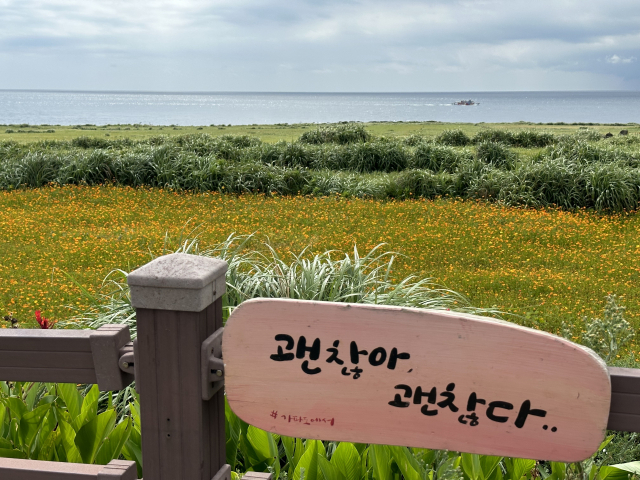 가파도는 청보리철이 아니어도 코스모스 꽃밭 등을 만날 수 있어 언제 방문해도 괜찮다.