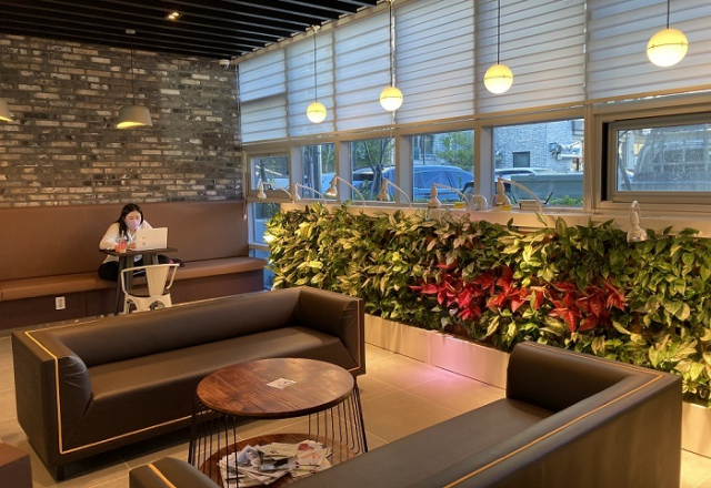 한 카페에서 벽면을 이용해 식물을 키우는 모습. 바이오월이라고도 부른다. 농촌진흥청 제공