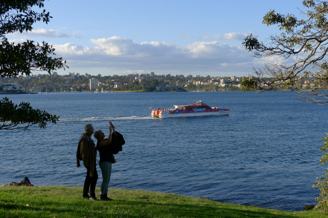 수변 보호와 스카이라인 관리로 인한 시원한 자연형 해안 경관은 시드니의 상징이다. 비온후 제공