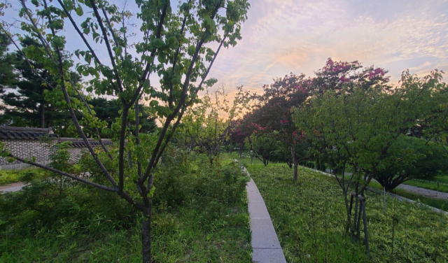 한밭수목원에서 볼 수 있는 우리나라의 독특한 조경 양식 ‘화계’. 몇 개의 계단을 만들고 계단마다 꽃과 나무를 심은 정원이다.