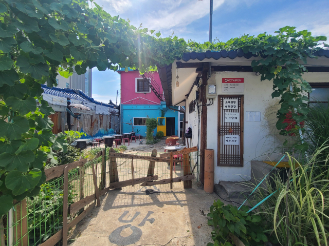 입구에 고이 드리운 담쟁이덩굴과 장독으로 만든 테이블이 인상적인 가게.