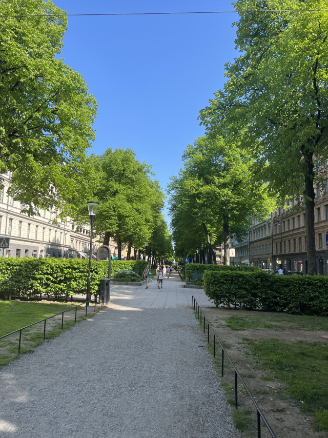 걷기·자전거타기를 유도하는 스웨덴 스톡홀름 가로수길.