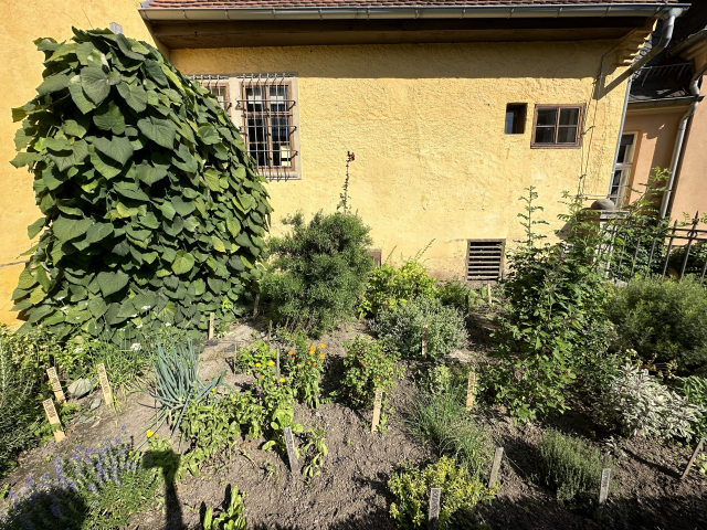 바이마르 괴테 하우스 뒤뜰의 텃밭. 김은영 선임기자