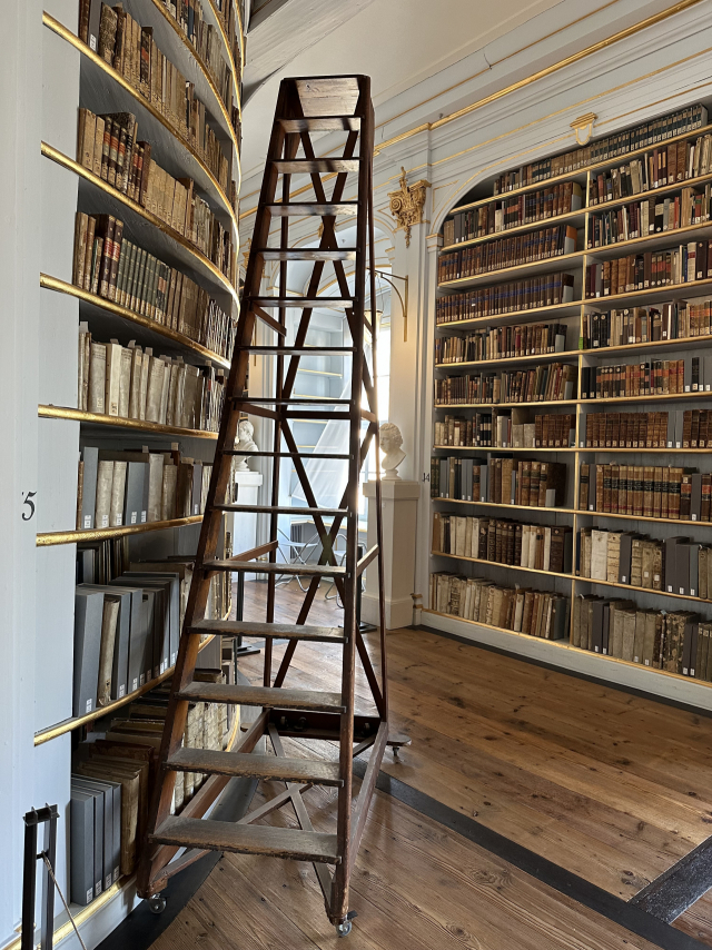 '안나 아말리아 대공비 도서관' 내 로코코홀. 이 도서관은 안나 아말리아가 궁정 도서관을 개조해 만들었다. 김은영 선임기자