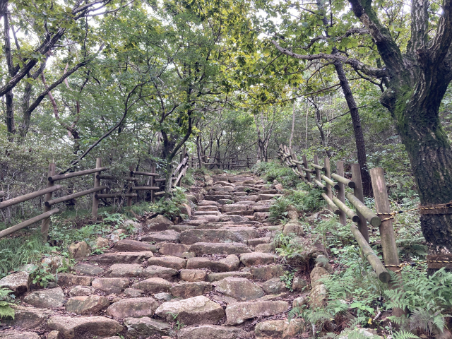 북문에서 의상봉으로 오르는 산성길.