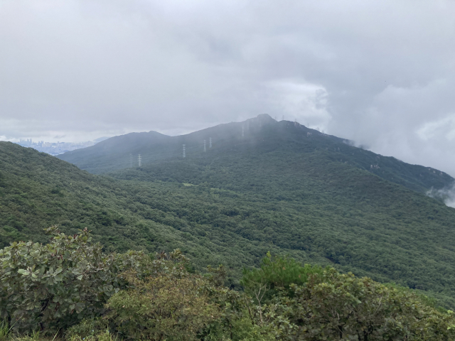 멀리 금정산 고당봉 정상이 보인다.