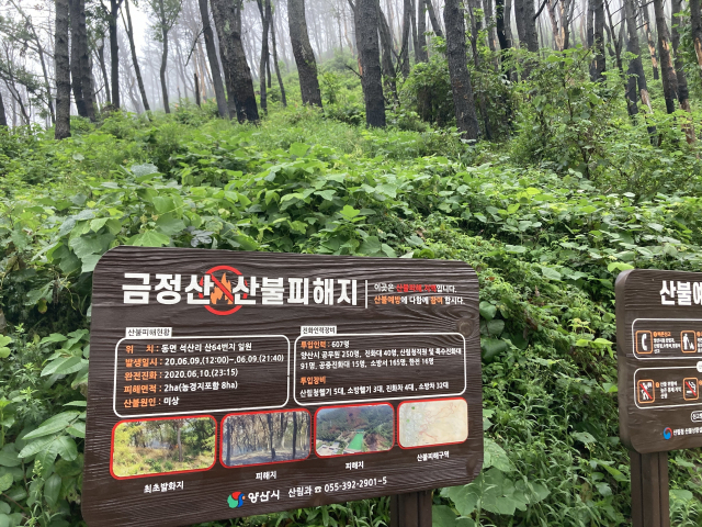산불 피해지 안내판.