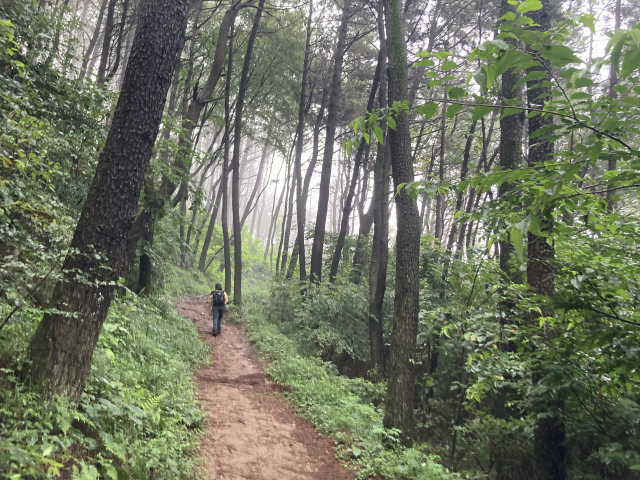 맨발로 걷는 이도 많은 호젓한 산길.