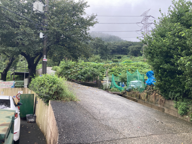 계석마을 대정그린 아파트 옆으로 난 금백종주 초입 등산로.