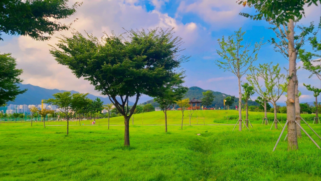 물멍존 뒤쪽으로는 황산공원이 내려다보이는 언덕이 있고 언덕에는 고즈넉한 정자가 있다. 물멍 후 언덕과 정자에 오르면 계절이 바뀌고 있는 풍경을 볼 수 있다.