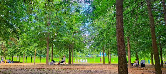선베드가 다 채워졌거나, 그늘이 더 좋은 공간이 생기면 캠핑 의자도 동원된다.