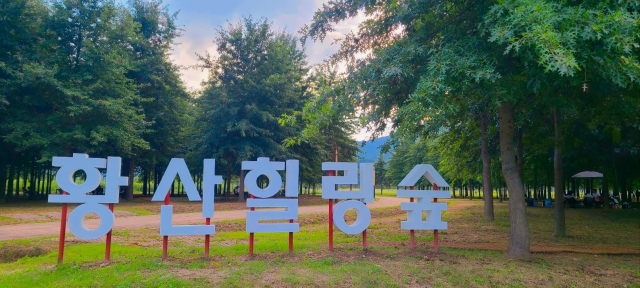 황산공원 대왕참나무숲은 ‘황산힐링숲’이라는 이름이 있다. 선베드 14개와 보행 매트 등이 설치돼 있어 숲멍을 즐길 수 있다.