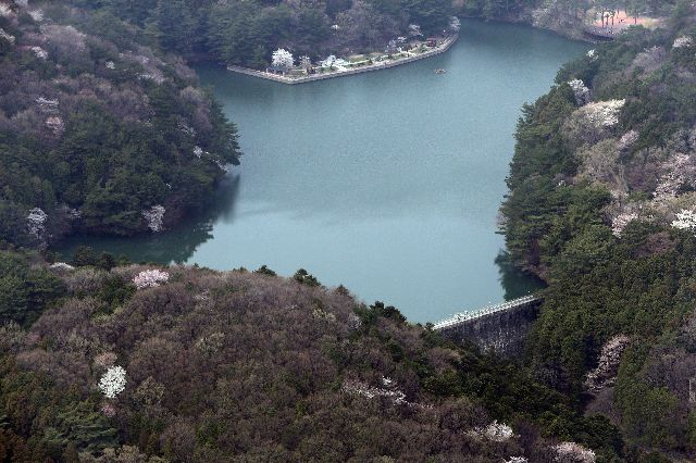 부산 어린이대공원 전경. 부산일보DB