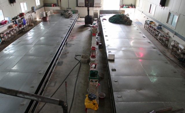 후쿠시마 원전 오염수 해양 방류가 본격화되자 부산·경남 양식업계의 시름이 깊다. 경남권 최대 양식 활어 산지인 통영시 용남면 굴 박신장. 김민진 기자