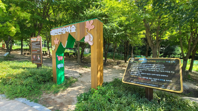 대천천 유아숲은 어린이들에게 인기 있는 숲체험 공간이다.