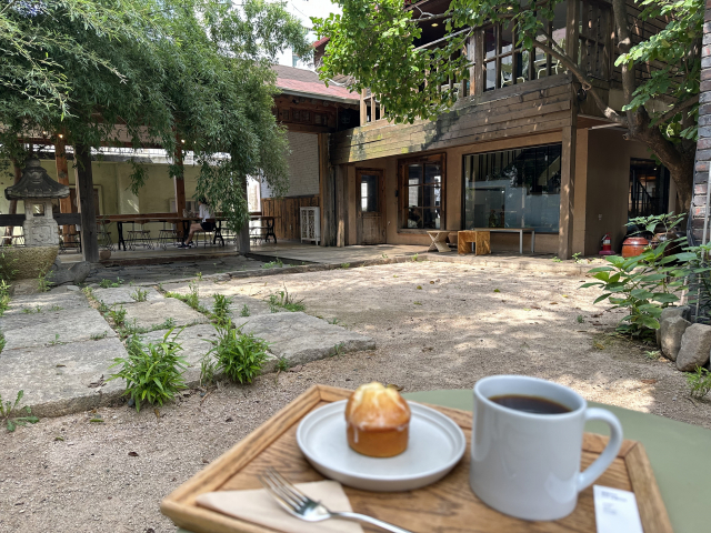 ‘모모스커피’ 본점 입구 안으로 들어서면 별세계 같은 초록의 정원이 펼쳐진다.