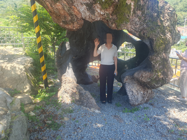 마치 동굴을 찾은 듯한 모습에 인증샷을 찍으려는 사람들의 발걸음이 이어지고 있다. 남해군 제공