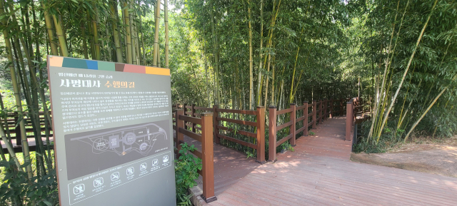 밀양 사명대사 유적지 내에는 ‘사명대사 수행의 길’로 불리는 대나무 숲길이 있어 산책을 하기에도 좋다.