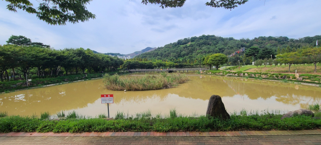 밀양아리랑대공원은 가족들과 자연 속 산책을 하기에도 좋은 곳이다. 교동구못을 가로지르는 수변 덱은 물론이고, 못 둘레에 산책로가 잘 조성돼 있다.