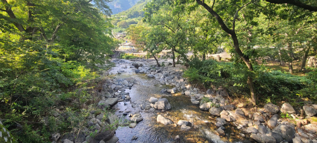 밀양 표충사 계곡. 밀양의 대표적인 물놀이 명소다. 계곡 인근에는 음식점과 카페, 숙소, 기념품점 등 표충사 관광지 상업 시설이 몰려 있어 이용하기 편리하다.