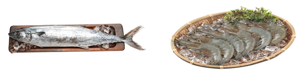 10월, 이달의 수산물로 선정된 삼치(왼쪽)와 대하. 해수부 제공