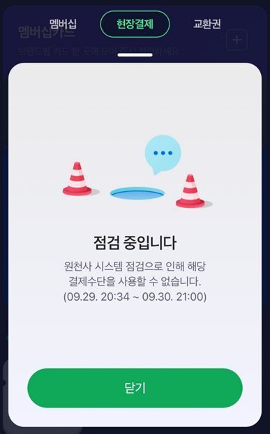 네이버페이의 신한카드 오류 점검 안내문.
