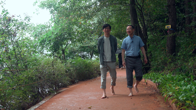 전국적으로 맨발 걷기에 대한 관심이 높다. 맨발 걷기는 혈액순환 개선과 지압효과로 면역력을 높여 준다는 보고가 있다. 고신대복음병원 알레르기내과 김희규(오른쪽) 교수가 부산 회동수원지 땅뫼산 맨발 황톳길을 걷고 있다.