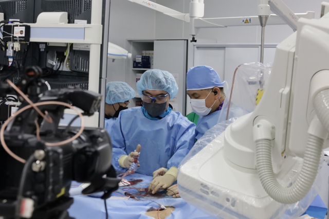 창원한마음병원 김민웅 교수와 고려대학교 구로병원 나승운 교수가 관상동맥 중재시술을 시연하고 있다. 창원한마음병원 제공