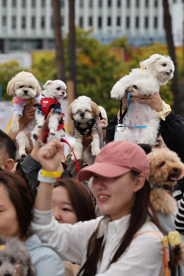 이달 초 서울에서 열린 ‘반려동물 한마당 축제’. 연합뉴스