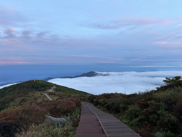 노고단 정상에서 노고단고개로 내려가는 길. 구름이 포근하게 내려앉았다.