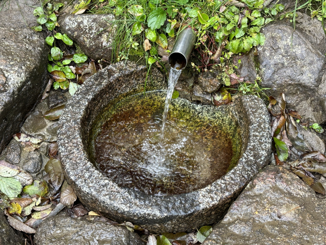 노루목 가는 길에 만난 임걸령샘. 손이 시릴 정도로 물이 시원하다.
