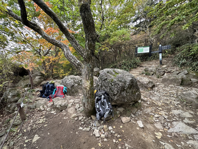 노루목에서 반야봉을 오르는 이들이 잠시 내려놓은 배낭들. 잃어버릴 일은 거의 없지만 먹이를 찾는 반달곰을 조심해야 한다.