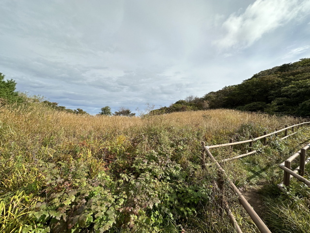 화개재 일대는 식생 복원 중이라 탐방로로만 지날 수 있다.